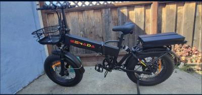 Sanada gladiator cargo ebike
