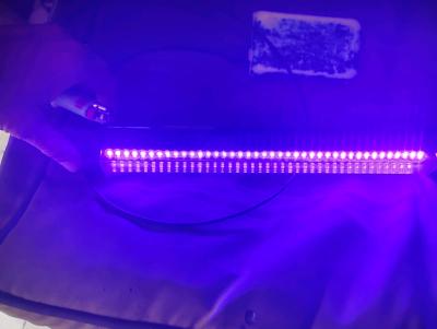 A New Black Light