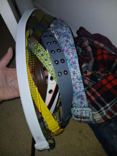 Belts Shirts Jeans Skirts Workout Dresses