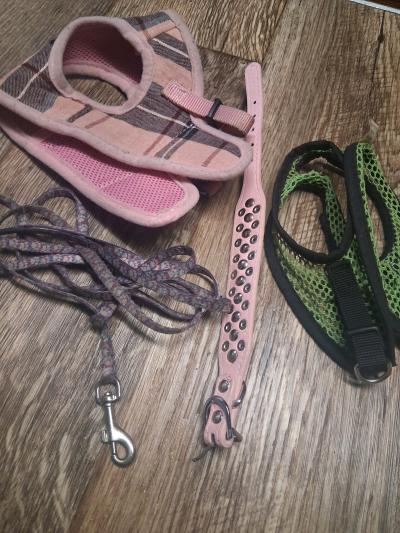 pet supplies