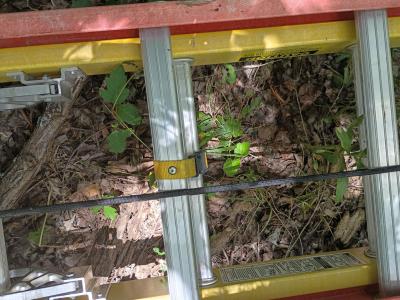 Werner GlideSafe 28 ft 300lb Fiberglass Extension Ladder - Thumbnail 3