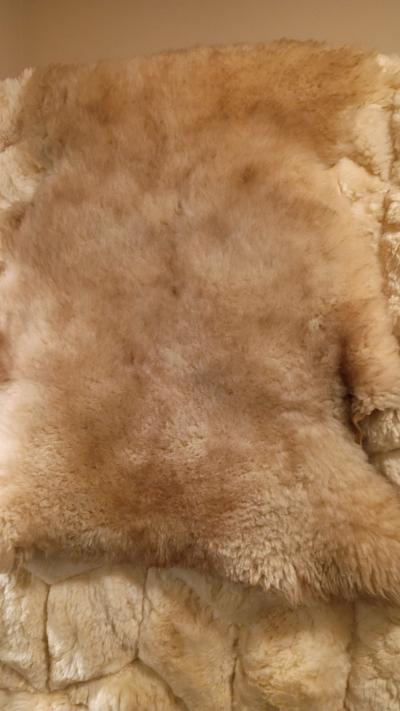 sheepskin hide rug