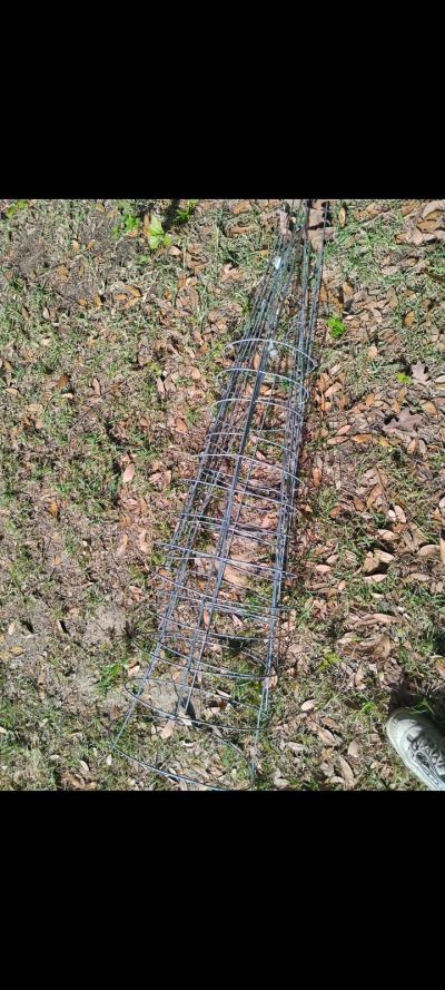 6 New Tomato Gardening Stand Up Cages - Thumbnail 2