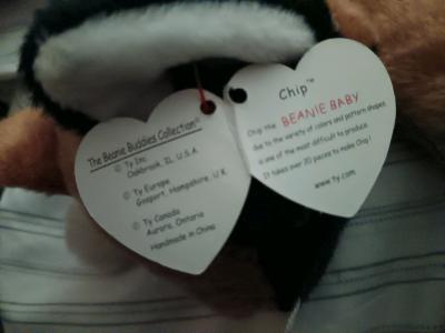 beenie babies chip large size - Thumbnail 3