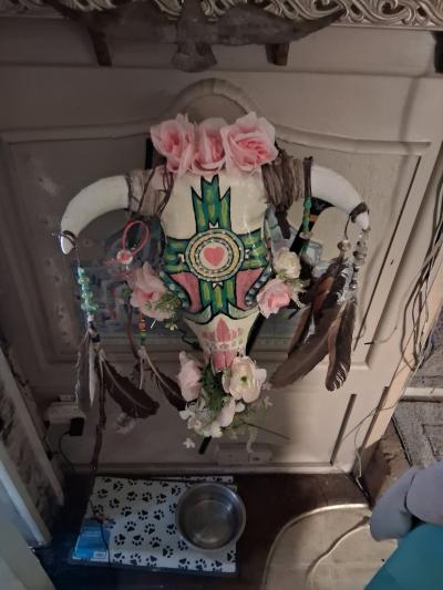 bullskull with designed for wall art - Thumbnail 2