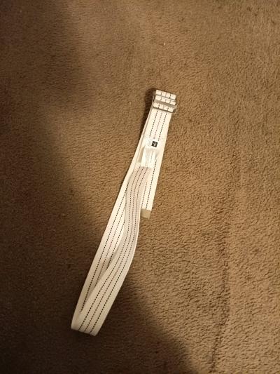 Gait Belt