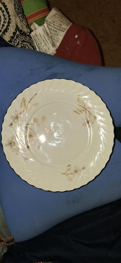 Royal Tettau Germany  PlatinumTrimmed Bread  Butter Plates - Thumbnail 5