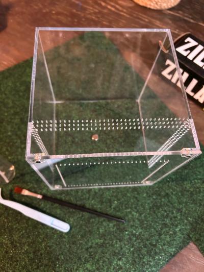 jumping spider enclosure kit aqua - Thumbnail 9