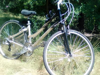 Giant Cypress cruiser Bike smoothest bike ride - Thumbnail 2