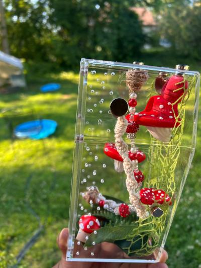 MushRoom Jumping Spider Enclosure Kit - Thumbnail 4