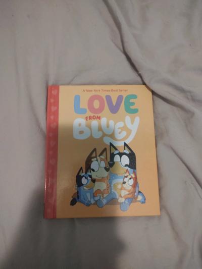 love  from bluey