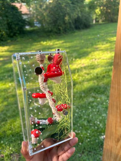 MushRoom Jumping Spider Enclosure Kit - Thumbnail 7
