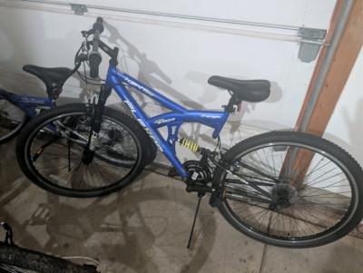 Kent flexor 29inch bike dual shocks