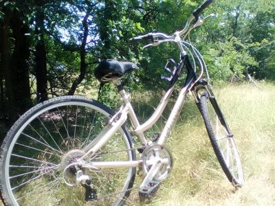 Giant Cypress cruiser Bike smoothest bike ride