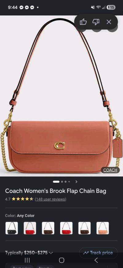 coach  bag