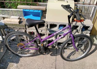 Vintage Ross Mt Jefferson Ladies Mountain Bike