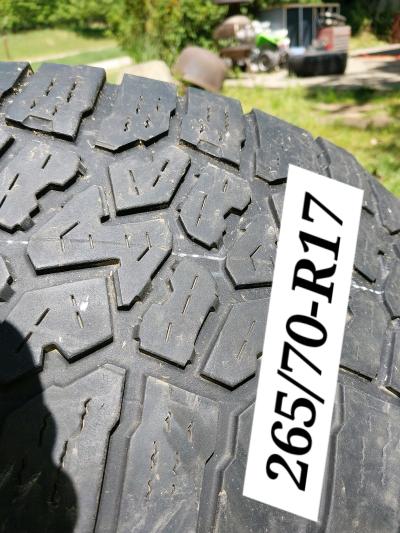 Tires for pick up in Alto MICHIGAN 49302 - Thumbnail 7