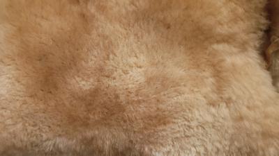 sheepskin hide rug - Thumbnail 2
