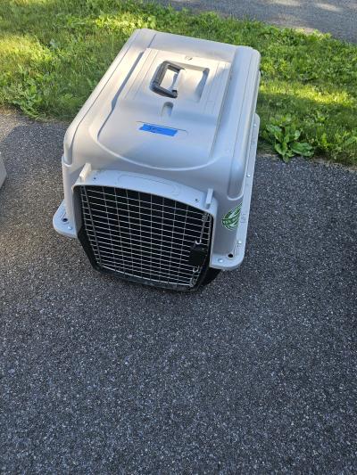 dog crate or dog taxi