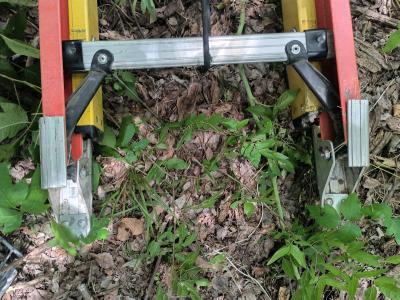 Werner GlideSafe 28 ft 300lb Fiberglass Extension Ladder - Thumbnail 7