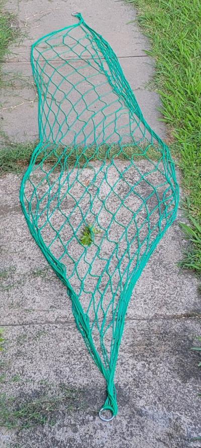 green hammock  still in good shape