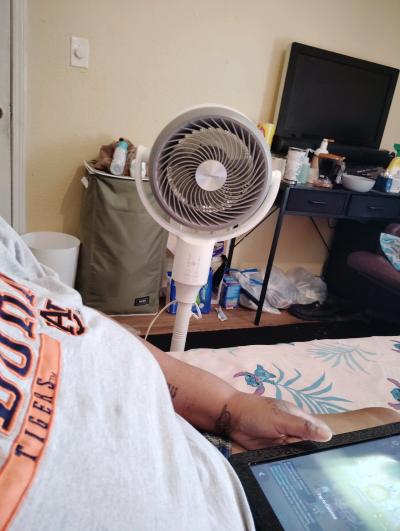 pelonis fan
