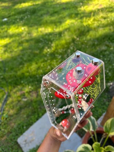 MushRoom Jumping Spider Enclosure Kit - Thumbnail 6