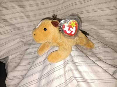 beenie babies derby