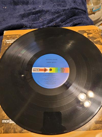 Autumn leaves vinyl record - Thumbnail 3
