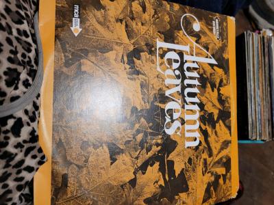 Autumn leaves vinyl record