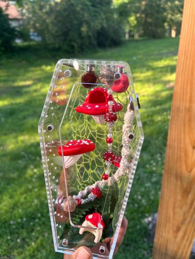 MushRoom Jumping Spider Enclosure Kit - Thumbnail 9