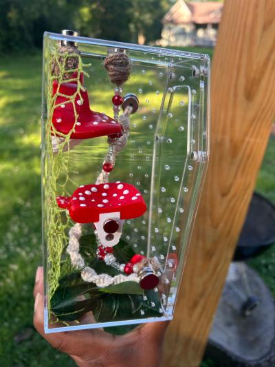 MushRoom Jumping Spider Enclosure Kit - Thumbnail 12