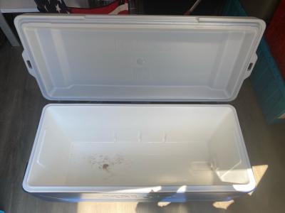 Large Igloo Cooler Blue and White
