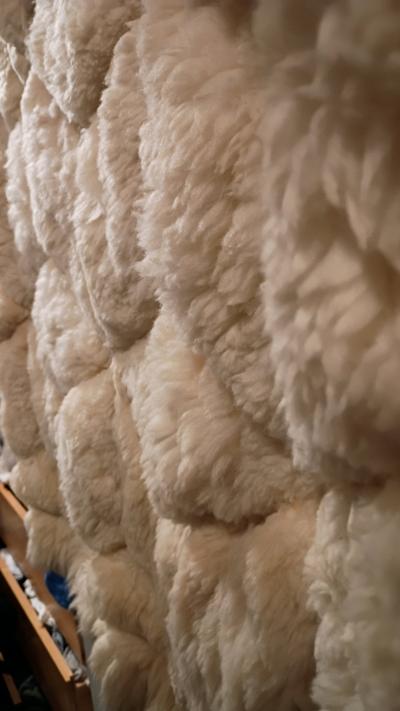 vintage and collectible llama blanke or throw - Thumbnail 4