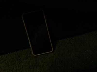 my name is Maria and I am selling a phone so I can get a pet