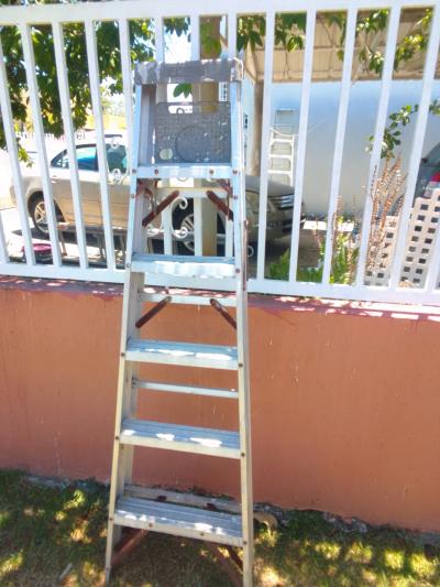Escalera Werner