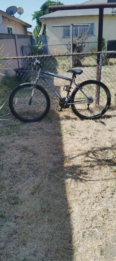 ROADMASTER BIKE