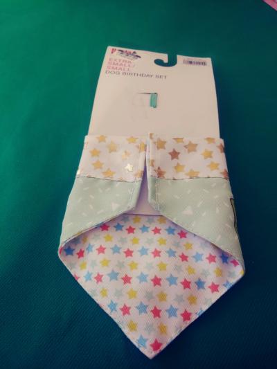 DOG Birthday Set Bandana and Collar Slide - Thumbnail 3