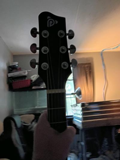 pyleusa acoustic guitar