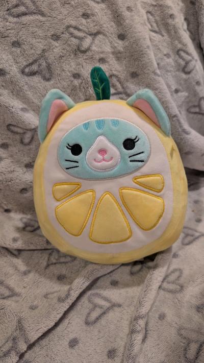 lemon cat squishmallow