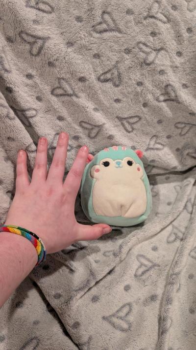 mini squirrel squishmallow teal and pink - Thumbnail 2