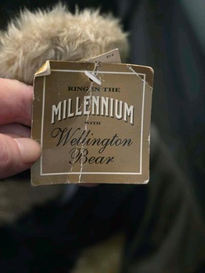 Vintage 1999 Wellington Ring in the Millennium teddy bear - Thumbnail 2