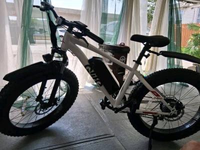 EBike New Ebike fully loaded w NEW Charger Front back water