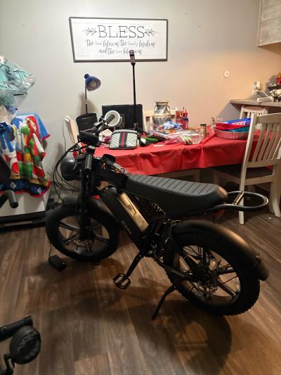 TST e bike r002