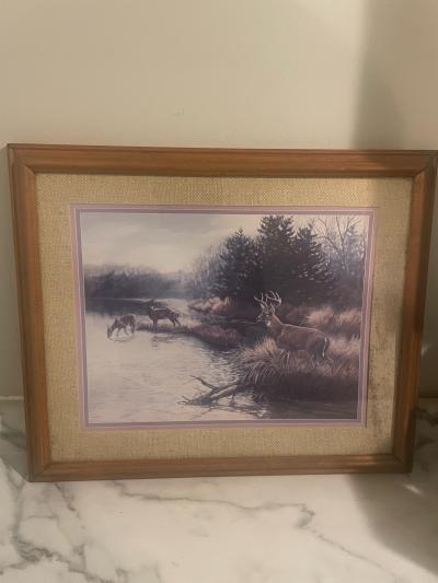 Exclusive Beautiful Deer Lookout At Watering Hole framed  pa