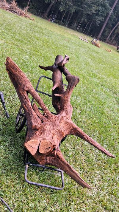 wood ceader knot 4 ft by 5 ft - Thumbnail 4
