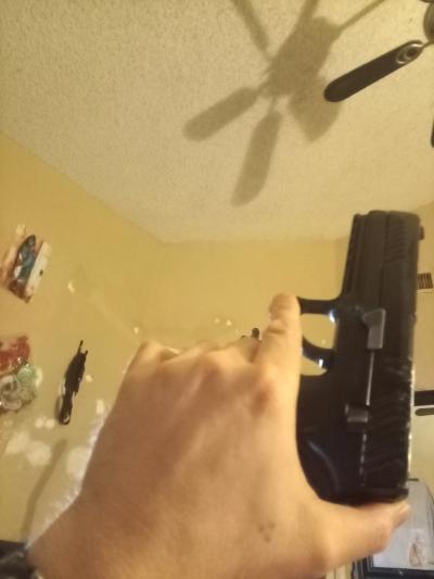 sigsaur p320 pelletgun - Thumbnail 4