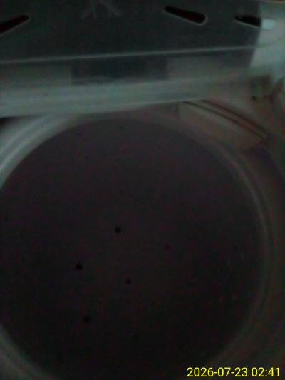 mini twin tub bangson washing machine with storage bag - Thumbnail 4