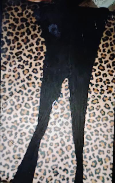 Five Pairs of Crotchless Pantyhose - Thumbnail 2