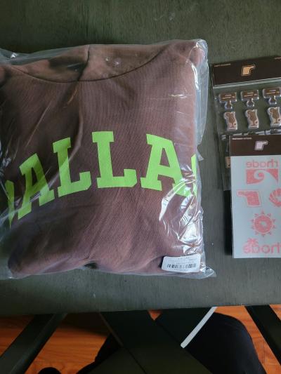 rhode and skylrk hoodie ND rhode terry bag
